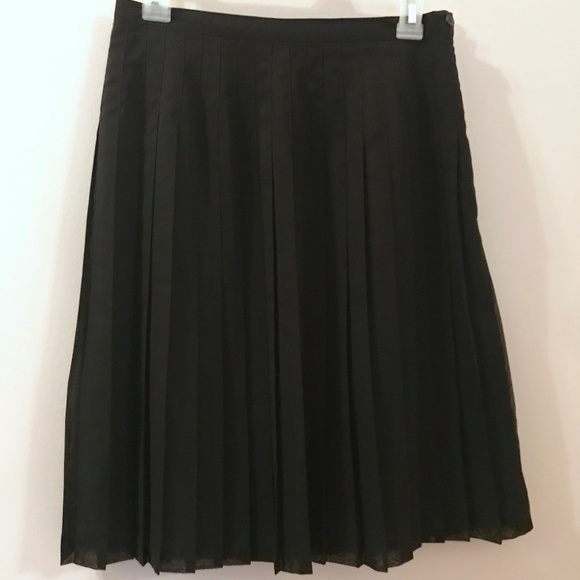 Pleated Sheer Skirt - Picture 3 of 4